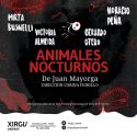 ANIMALES NOCTURNOS