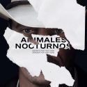 ANIMALES NOCTURNOS
