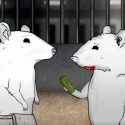 SERIES | VUELVE LA SERIE ANIMADA «ANIMALS»