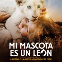 MI MASCOTA ES UN LEON