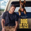 DOG UN VIAJE SALVAJE
