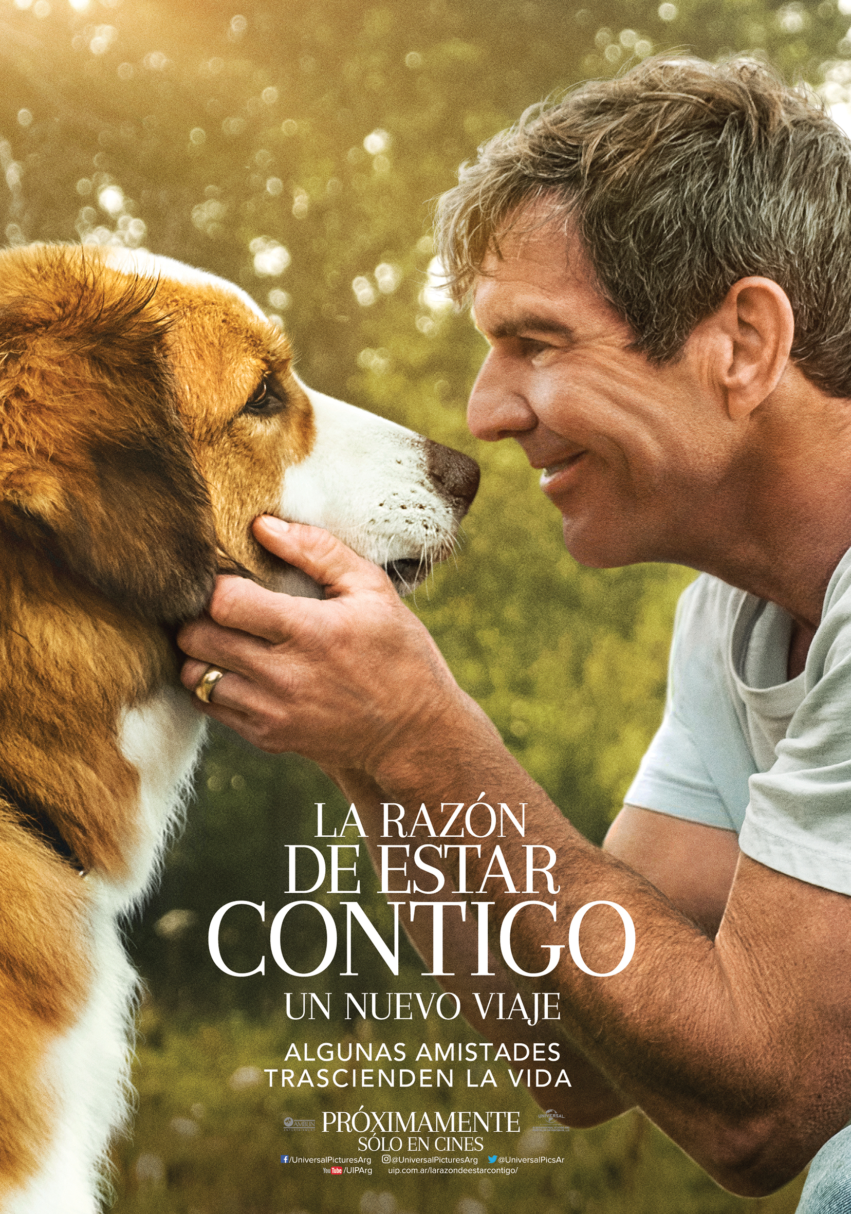 LA RAZON DE ESTAR CONTIGO - nuestro top 12 de las mejores películas de perros
